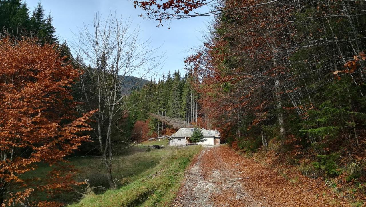 Cabana Pietricica Dimbovicioara Exterior photo