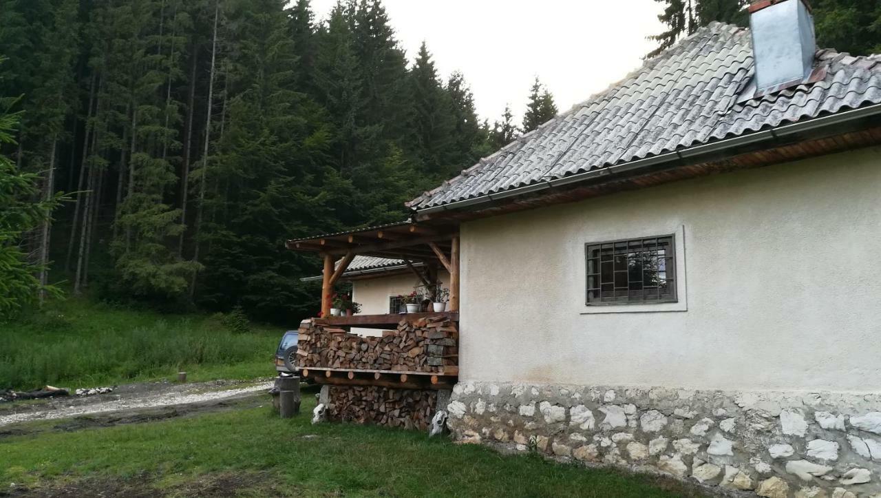Cabana Pietricica Dimbovicioara Exterior photo