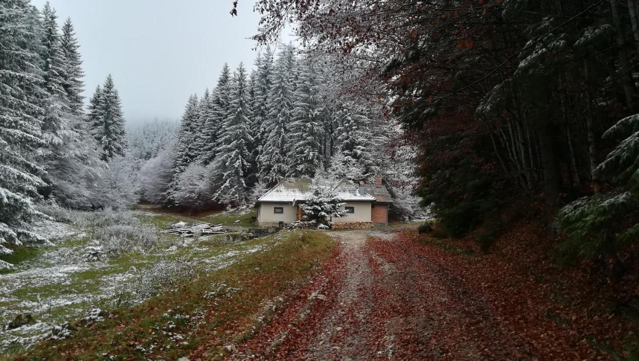 Cabana Pietricica Dimbovicioara Exterior photo
